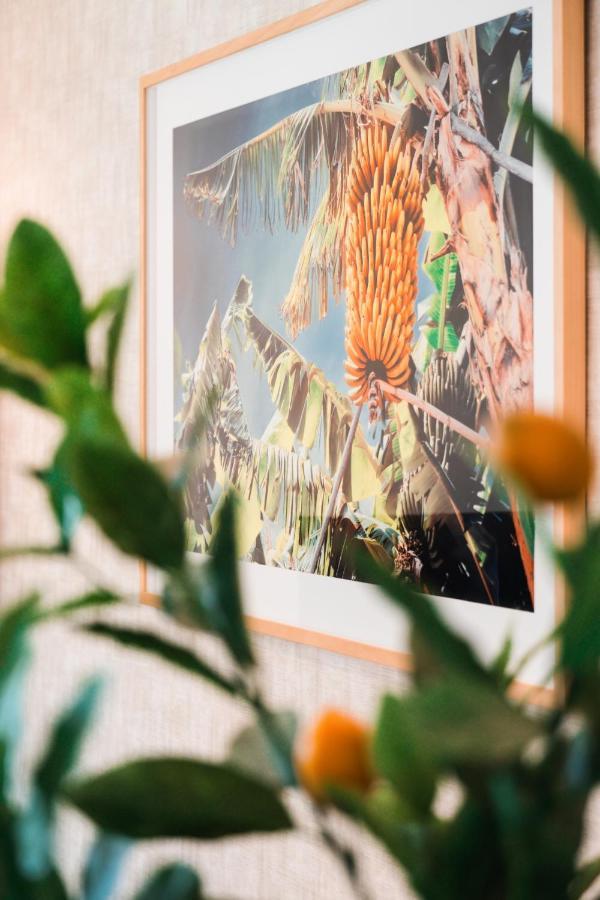 Banana Lodge By Atlantic Holiday Funchal  Extérieur photo